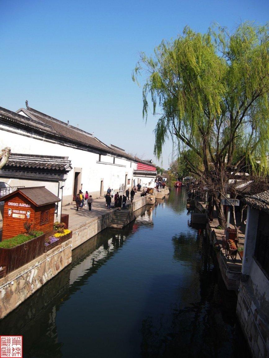 京酱杏鲍菇的做法？游戏画面